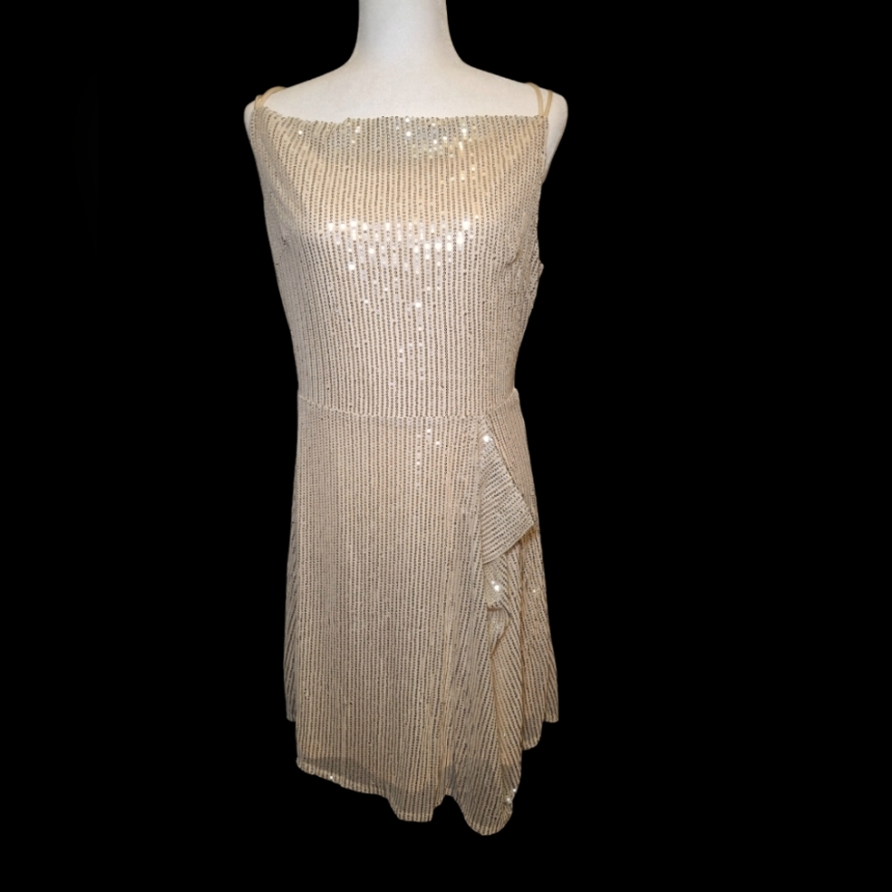 NWT 123 Story Sequin Dress XL